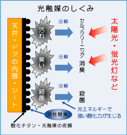 光触媒のしくみ